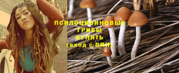 a pvp Белокуриха