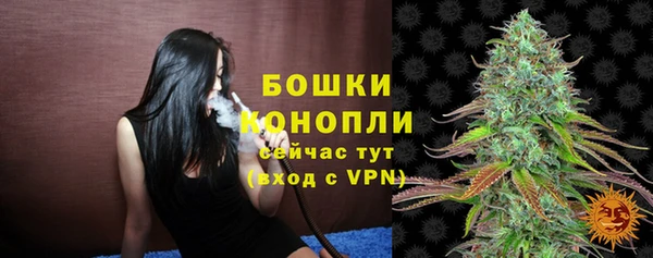 a pvp Белокуриха