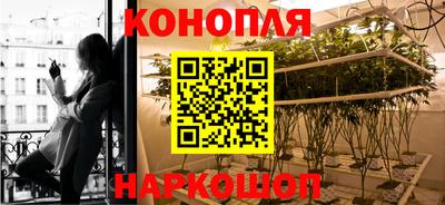 прущие крисы Мариинск