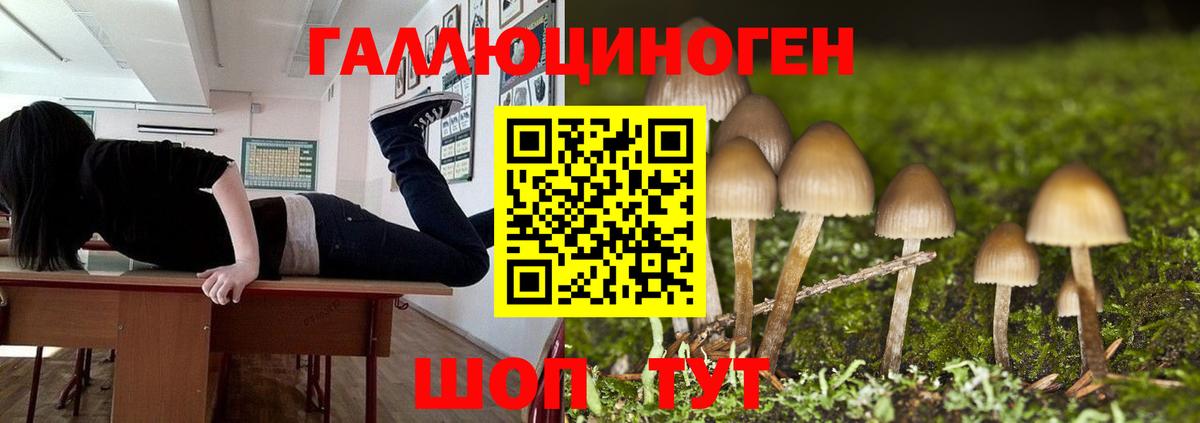 Воркута  Псилоцибиновые грибы мухоморы  Вход с VPN  Псилоцибиновые грибы Psilocybe 